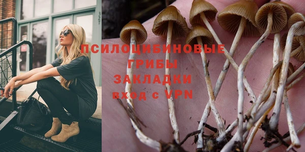 герыч Ветлуга