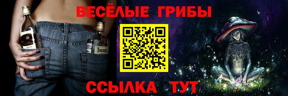 Псилоцибиновые грибы GOLDEN TEACHER Чусовой