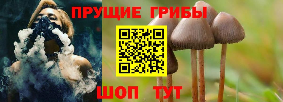 Чусовой  Псилоцибиновые грибы Magic Shrooms  Вход с VPN  Псилоцибиновые грибы прущие грибы 